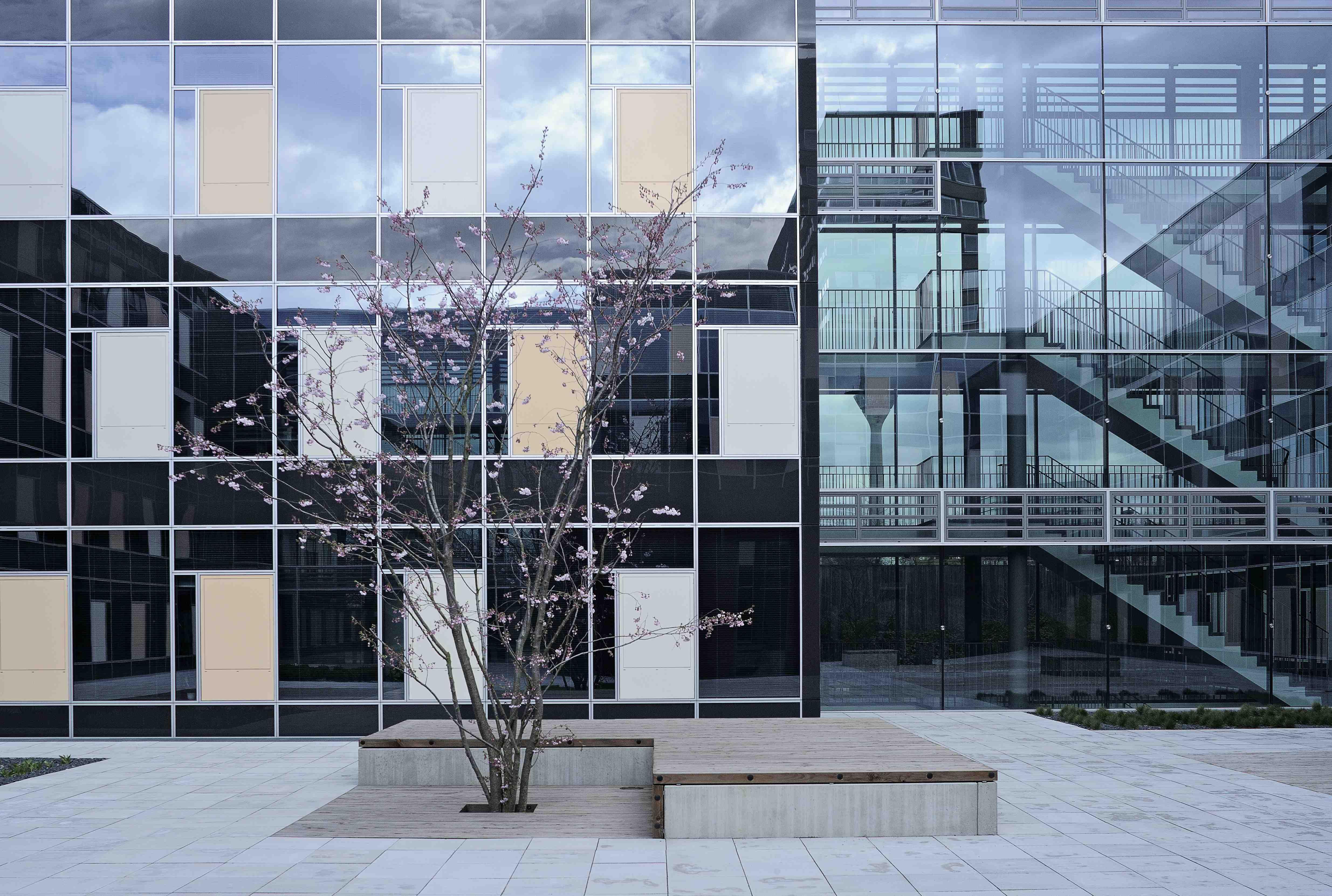 Innenhof MSW mit Integralfassade