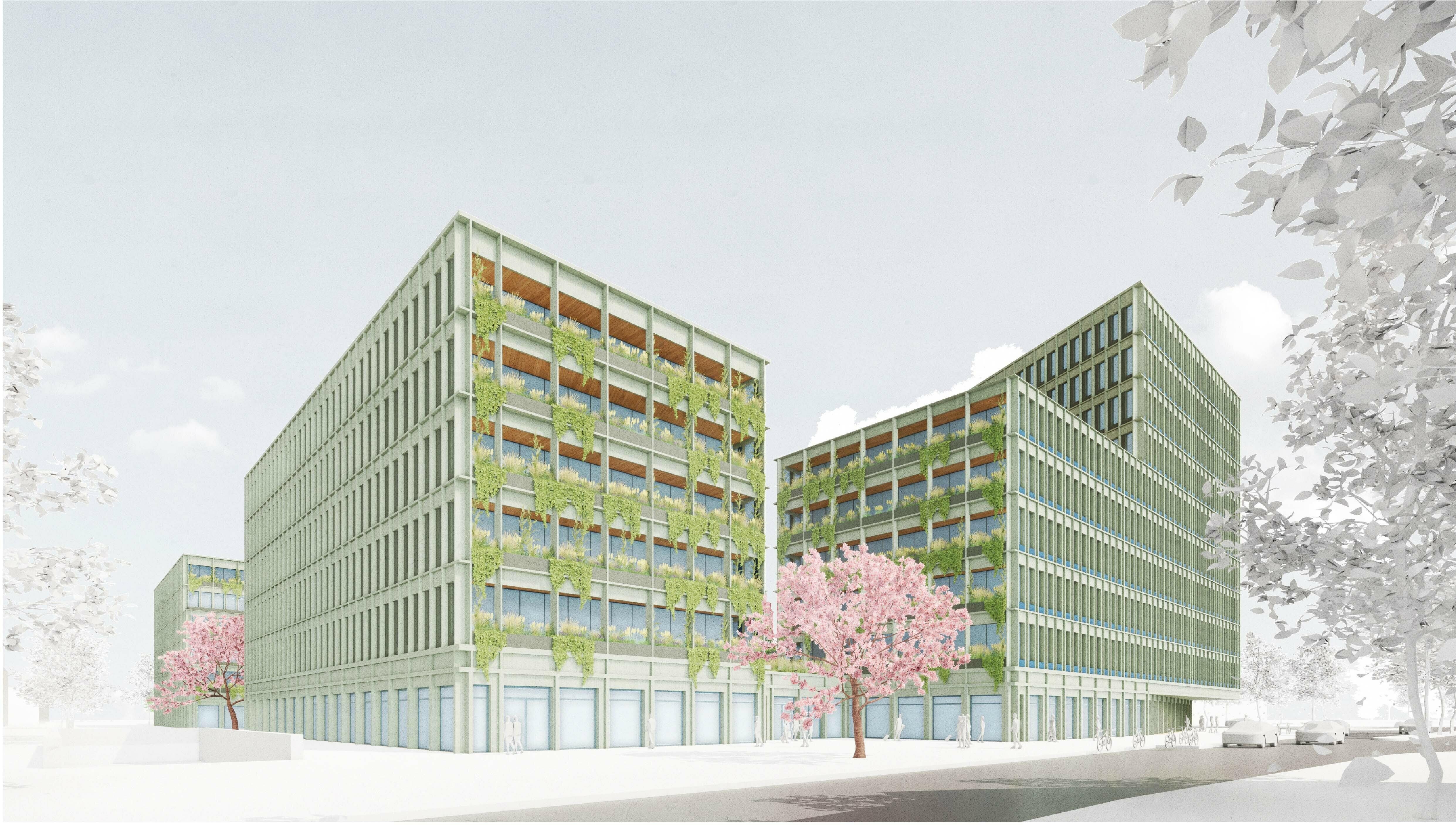 SUPERGELB ARCHITEKTEN Wettbewerb Haidpark,Visualisierung SUPERGELB ARCHITEKTEN